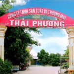 Hợp Tác Cùng Công An Để Làm Rõ Vụ Lừa Đảo Đầu Tư